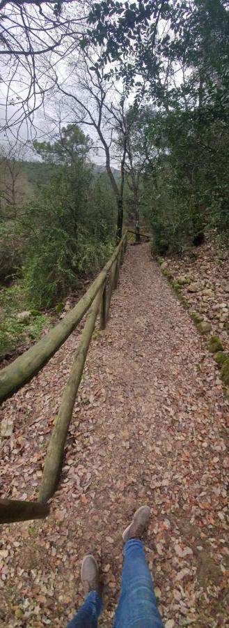 ארויו פריו Rio Hereza מראה חיצוני תמונה